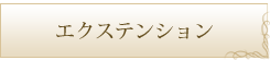 エクステンション